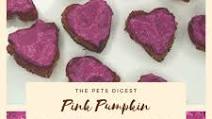 V-Day Heart Dog Cookies with Frosting V-Day Heart Dog Cookies with Frosting