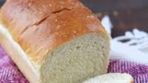 Honey White Bread Honey White Bread