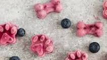 Blueberry Yogurt Pupsicles Blueberry Yogurt Pupsicles