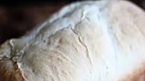 Favorite Bread Machine Sourdough Loaf Favorite Bread Machine Sourdough Loaf