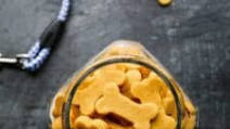 Gluten Free Homemade Dog Biscuits Gluten Free Homemade Dog Biscuits