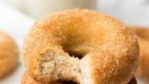 Cinnamon Sugar Vegan Donuts Cinnamon Sugar Vegan Donuts