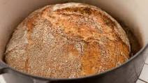 Oat No Knead Bread Oat No Knead Bread