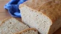 Healthy Recipe Idea: Homemade No Knead Bread Healthy Recipe Idea: Homemade No Knead Bread