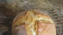 Crusty Dutch Oven Bread Crusty Dutch Oven Bread