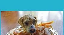 Chicken Jerky Treats for Dogs Chicken Jerky Treats for Dogs
