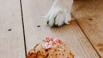 Peanut Butter Pupcakes Peanut Butter Pupcakes