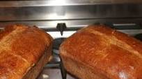 Honey Whole Wheat Bread Honey Whole Wheat Bread