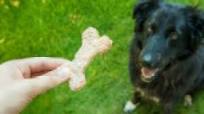 Vet-Approved Homemade Dog Food Vet-Approved Homemade Dog Food