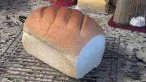 White Sandwich Loaf With Poolish White Sandwich Loaf With Poolish