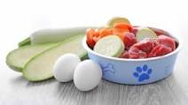Recipe: Healthy Raw Diet for Dogs Recipe: Healthy Raw Diet for Dogs