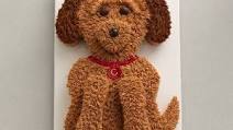 Cute Golden Doodle Dog Cake Cute Golden Doodle Dog Cake