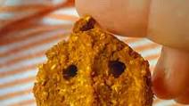 Pumpkin Peanut Dog Treats Pumpkin Peanut Dog Treats