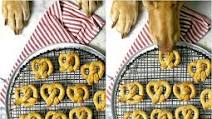 Apple Pretzel Dog Treats Apple Pretzel Dog Treats
