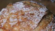 The Best No Knead Crusty Bread from scratch The Best No Knead Crusty Bread from scratch