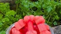 Watermelon Carrot Pupsicle Watermelon Carrot Pupsicle