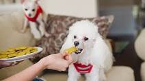 Peanut Butter Pumpkin Gluten-Free Dog Treat Recipe Peanut Butter Pumpkin Gluten-Free Dog Treat Recipe