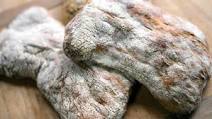 Ciabatta Ciabatta
