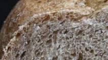Malted Barley Dark Rye Sandwich Loaf Recipe | Bread Baking Malted Barley Dark Rye Sandwich Loaf Recipe | Bread Baking