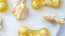 Chicken Jello for Dogs Chicken Jello for Dogs