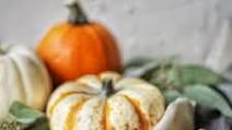 Pumpkin Peanut Butter Frozen Dog Treats Pumpkin Peanut Butter Frozen Dog Treats