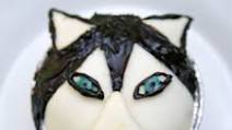 Husky Cupcake Recipe Husky Cupcake Recipe