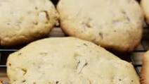 Favorite Black Walnut Cookies Favorite Black Walnut Cookies