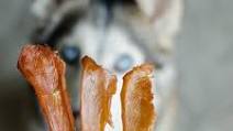 Homemade Chicken Jerky for Dogs Homemade Chicken Jerky for Dogs