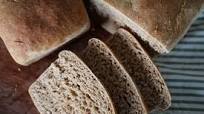 Great Harvest Honey Whole Wheat Bread (copycat) Great Harvest Honey Whole Wheat Bread (copycat)