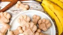 Frozen Cinnamon Banana Dog Treats Frozen Cinnamon Banana Dog Treats