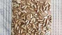 Whole Grain Rye Sourdough Bread Whole Grain Rye Sourdough Bread
