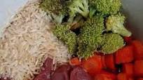 Crock Pot Dog Food Crock Pot Dog Food
