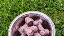 Blueberry Frozen Dog Treats Blueberry Frozen Dog Treats