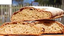 How to Make Whole Wheat Sourdough Ciabatta Bread How to Make Whole Wheat Sourdough Ciabatta Bread