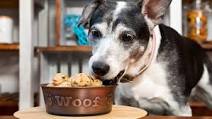 Chicken Meatballs for Dogs Chicken Meatballs for Dogs