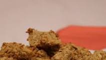 Salmon Dog Treats for Training Salmon Dog Treats for Training