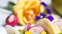 Duck Tacos Duck Tacos