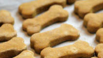 Homemade Pumpkin and Peanut Butter Dog Treats Recipe Homemade Pumpkin and Peanut Butter Dog Treats Recipe
