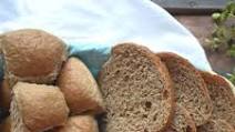 Quick and Easy Sprouted Bread or DInner Rolls, THM E, Dairy-free Quick and Easy Sprouted Bread or DInner Rolls, THM E, Dairy-free