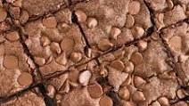 Quick & Easy Chocolate Chip Brownies Quick & Easy Chocolate Chip Brownies