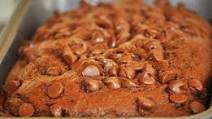 amish friendship bread creations amish friendship bread creations