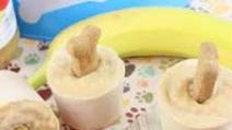 Frozen Pup Pops Frozen Pup Pops