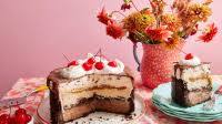 Best Ice Cream Cake Best Ice Cream Cake