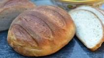 Italian Country Bread made with Starter (Pasta Madre) Italian Country Bread made with Starter (Pasta Madre)