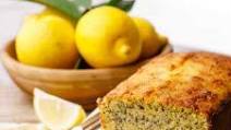 Lemon Poppy Seed Coconut Flour Keto Bread Lemon Poppy Seed Coconut Flour Keto Bread
