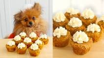 Pumpkin Spice Cupcakes for Dogs Pumpkin Spice Cupcakes for Dogs
