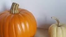 Soft Peanut Butter and Pumpkin Dog Treats Soft Peanut Butter and Pumpkin Dog Treats