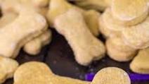 Pumpkin Dog Treats Recipe Pumpkin Dog Treats Recipe
