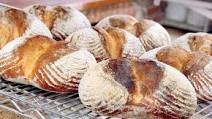 Baguettes with Poolish Baguettes with Poolish