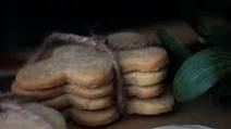 Tasha Tudor's Sugar Cookie Recipe Tasha Tudor's Sugar Cookie Recipe